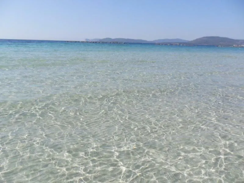 Appartamento Vacanze sul Mare Alghero Italia